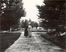 Cemetery2