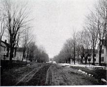 Street